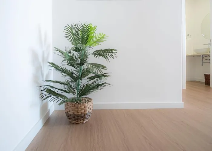 Apartament Vista'mar *