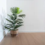 Apartamento Vista'mar *
